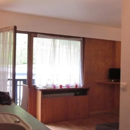 Studio With Balcony In Apartment